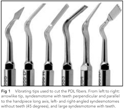 pdl-fibers